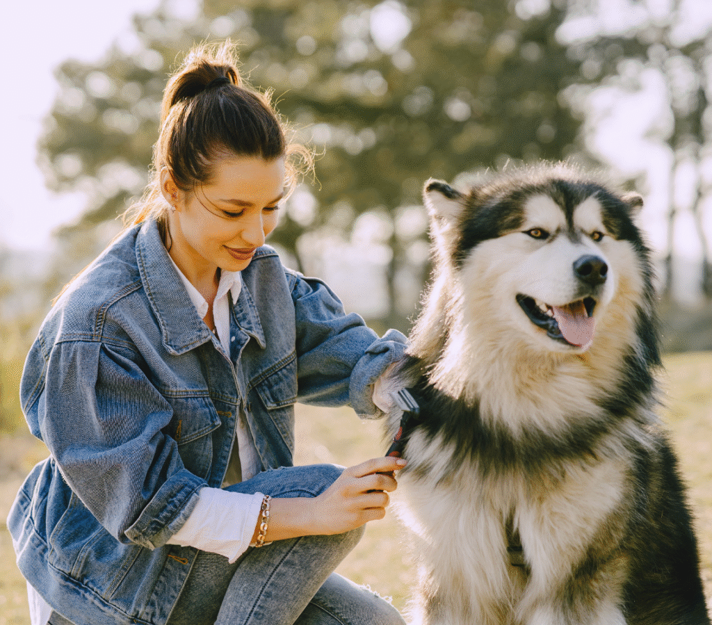 Irondequoit pet groomer